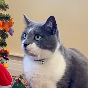 Meet your Posher, Barbara